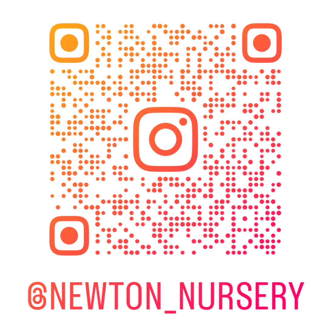 Instagram QR code