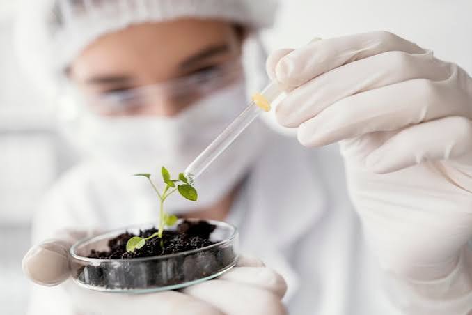 Seed & Research Trials